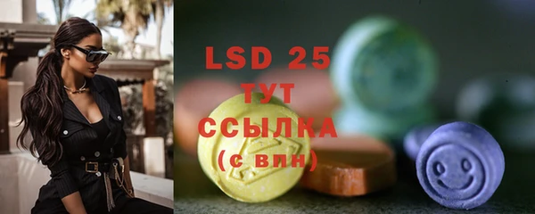 PSILOCYBIN Аркадак