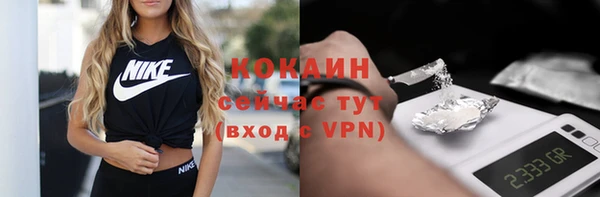 стаф Балахна