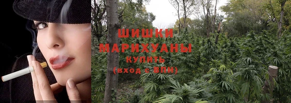 стаф Балахна