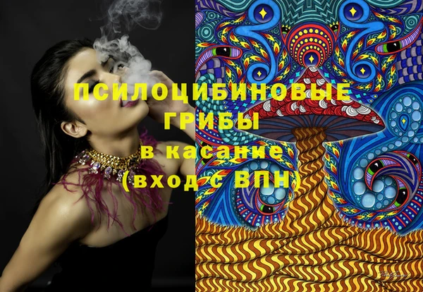 стаф Балахна