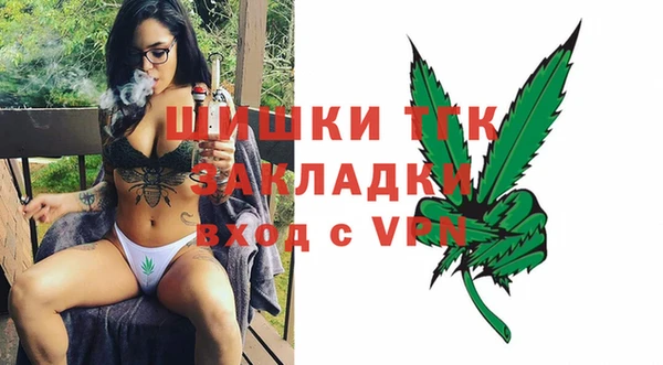 стаф Балахна
